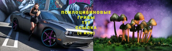 шишки Аркадак