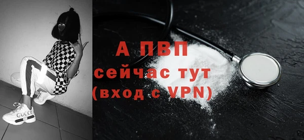 винт Алексин
