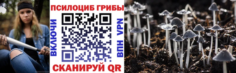 это телеграм  закладки  Арсеньев  Псилоцибиновые грибы прущие грибы 