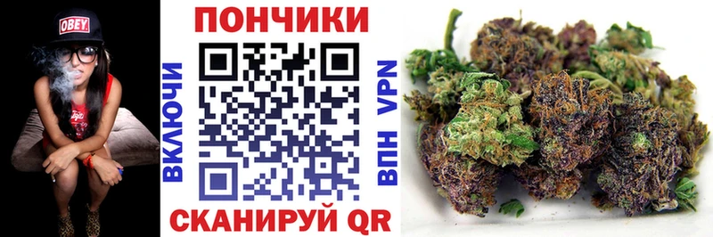 KRAKEN маркетплейс  купить наркотики сайты  мориарти какой сайт  Бошки марихуана MAZAR  Арсеньев 